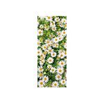 Banner 180x75cm, Maggy