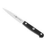 ZWILLING Spick- und Garniermesser 10 cm