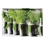 KESPER Serviertablett 'Herbs'