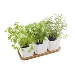 ORTHEX Kräutertopf 'Eden' 3er Set 3 Töpfe inklusive Untersetzer