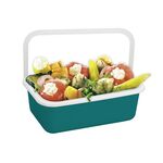 HONEYWARE Frischhaltedose 'Color Line' S mit Deckel
