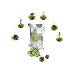 Erblühtee Grüner Tee 72er Pack 72 ErblühTee-Kugeln