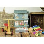 ROTHO Aufbewahrungsbox 'Evo Safe'