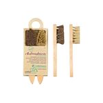 Peggy Perfect Schuhauftragsbürste Holz/Naturborste 2 Stück
