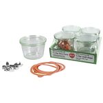 WECK Tray Sturzgläser eingeschweißt 4er Set 4er Tray | Klammern | Ringe