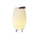 KOODUU Akku-LED-Lampe mit integriertem Bluetooth-Soundsystem und Getränkekühler 'Synergy S 35'