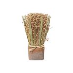Trockenblumen Gras-Mix im Terracotta Topf