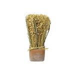 Trockenblumen Gras-Mix im Terracotta Topf