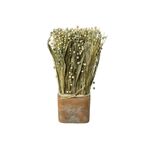 Trockenblumen Gras-Mix im Terracotta Topf