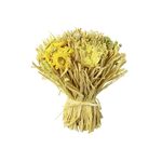 Trockenblumen-Gras-Arrangement