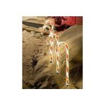 HI LED Gartenstecker  Zuckerstangen  4er 44cm