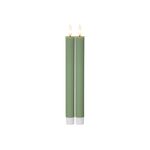 STAR TRADING LED Wachskerze Flamme Stripe 2er Set Batterie Timer grün 25x2,1cm