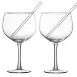 RITZENHOFF & BREKER Ginglas mit Trinkhalmen 2er Set 2x Ginglas, 2x Glas-Trinkhalm