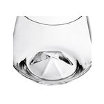 RC RITZENHOFF CRISTAL Tumbler 'Deep Spirits' #2