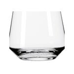 RC RITZENHOFF CRISTAL Tumbler 'Deep Spirits' #3