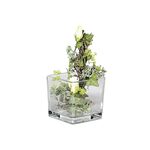 Sandra Rich Vase Würfel Glas 14x14x14cm klar