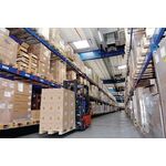 Verpackungsklebeband PP tesapack® 4024 chamois L.66m B.50mm Rl.
