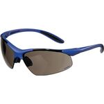Schutzbrille DAYLIGHT PREMIUM EN 166 Bügel dunkelblau,Scheibe smoke PC PROMAT