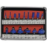 HM-Oberfräserkassette 973CT15A 15-tlg.Schaft-D.8mm HM FISCH-TOOLS