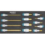 Werkzeugmodul 163-220/13 13-tlg.HAZET