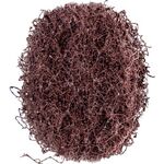 Schleifvliesscheibe POLINOX D.40mm medium 100 braun PFERD - VPE: 100