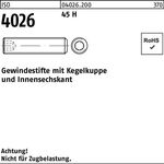 Gewindestift ISO 4026 Kegelkuppe/Innen-6kt M12x 50 45 H 100 Stück - VPE: 100