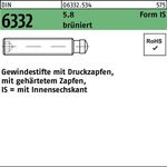 Gewindestift DIN 6332 FormIS Zapfen/Innen-6kt IS M12x100 5.8 brüniert 10St. - VPE: 10