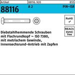 Schraube R 88116 diebstahlhemmend ISR Zapfen M10x 65-T45 A 2 100 Stück - VPE: 100