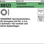 Sperrkantscheibe R 88123 NSK-S 5 Federstahl zinklamellenb. 1000St. TECKENTRUP - VPE: 1000