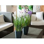 EUROPALMS Lavendel, Kunstpflanze, cremefarben, im Dekotopf, 45cm