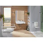 V&B WC-Sitz ViCare Scharn a ES SC Funktion we AntiBac