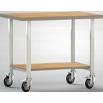 Werkbank B1000xT700xH840mm Buche Multiplex lichtgrau 1Ablageboden KLW-LUTZ BETR.