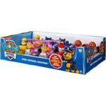 PAW Rescue Racers Fix12