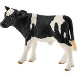 Kalb Schwarzbunt