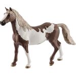 HC Paint Horse Wallach