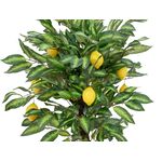 EUROPALMS Zitronenbaum, Kunstpflanze, 150cm