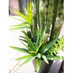 EUROPALMS Sukkulenten-Mix, Kunstpflanze, 190cm