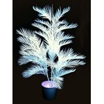 EUROPALMS Kentiapalme, künstlich,   uv-weiß, 170cm