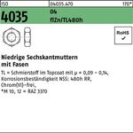 Sechskantmutter ISO 4035 niedrig Fasen M6 18 AU flZnnc 480h-L 1000St. - VPE: 1000