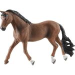 HC Trakehner Wallach