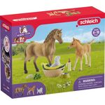 Horse Club Sarahs Tierbaby-Pflege