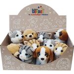MINI-MI Hunde u. Katzen, sort.i.Dpy