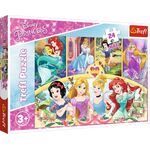 Pz. Maxi Disney Prinzessin 24T