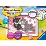 MnZ.Kuschelkatzen