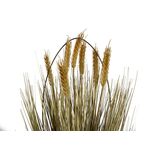 EUROPALMS Weizen erntereif, künstlich, 60cm