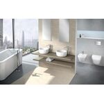 V&B Wand-WC ARCHITECTURA ti., spülrandlos, DirectFlush we