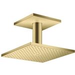 Kopfbrause 250/250 1jet AXOR Deckenmontage brushed brass