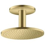 Kopfbrause 250 2jet AXOR Deckenmontage brushed brass