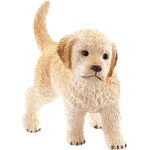 Golden Retriever Welpe