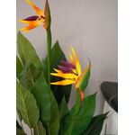 EUROPALMS Strelitzie, Kunstpflanze, 90cm